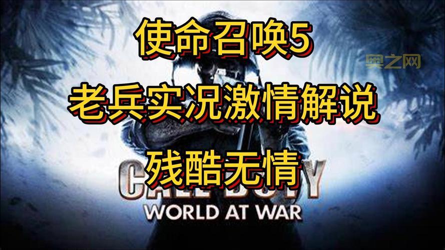 使命召唤5中文补丁哪个版本好？亲测推荐稳定版！