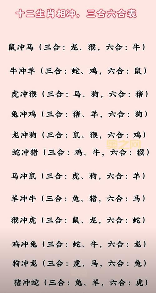 什么生肖组合是干柴烈火？这些生肖在一起火花四溅！