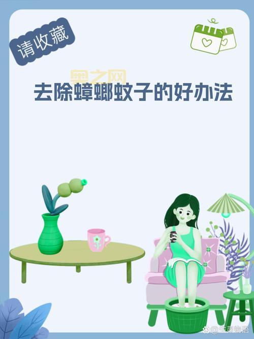 家里有疯狂苍蝇别担心！这几个小妙招让你远离困扰！