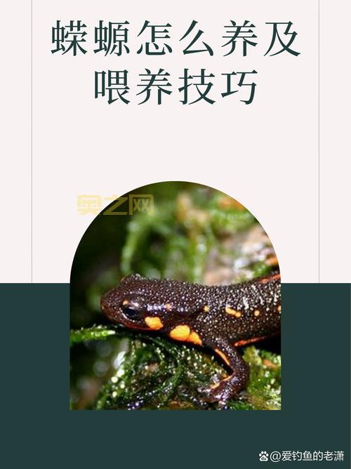 霸王蝾螈吃什么？这些食物让它健康成长！