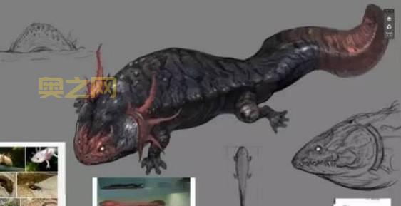 霸王蝾螈吃什么？这些食物让它健康成长！