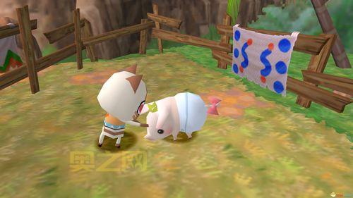 暖洋洋的猫猫村隐藏技巧,学会这些轻松通关!