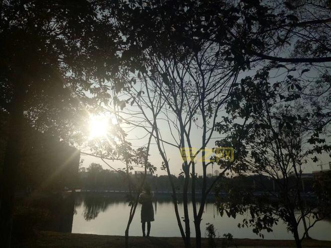 阳光下的真实攻略有用吗？实测效果告诉你答案！