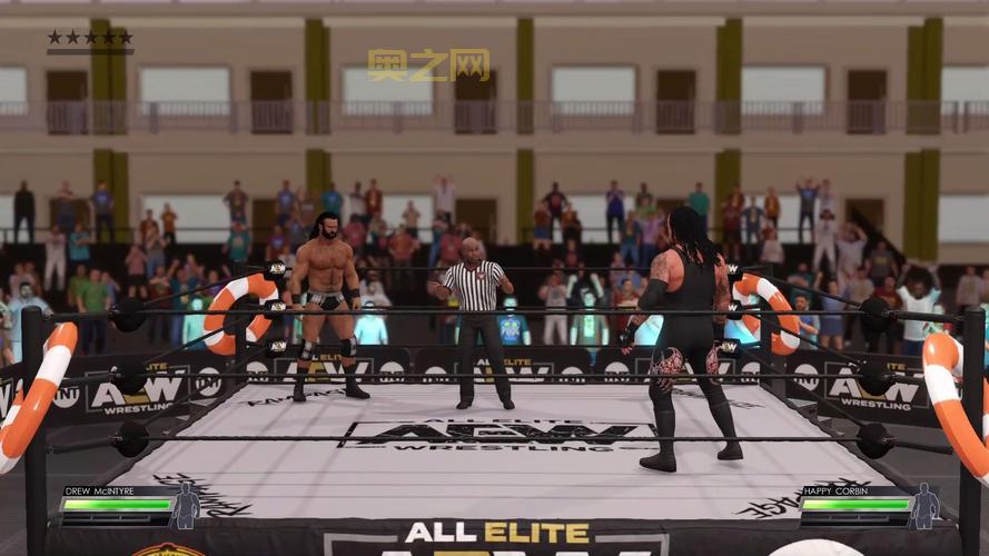 wwe2009游戏怎么玩才厉害？高手分享实用操作技巧！