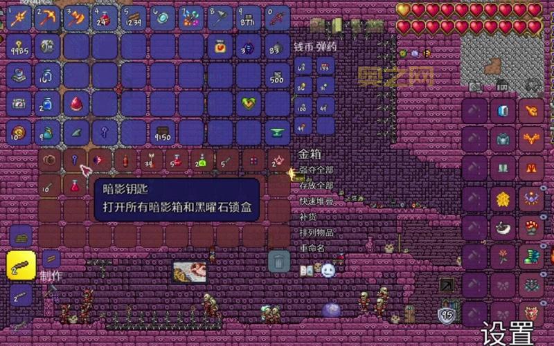 泰拉遗迹里面有什么宝藏？稀有物品掉落点分享！