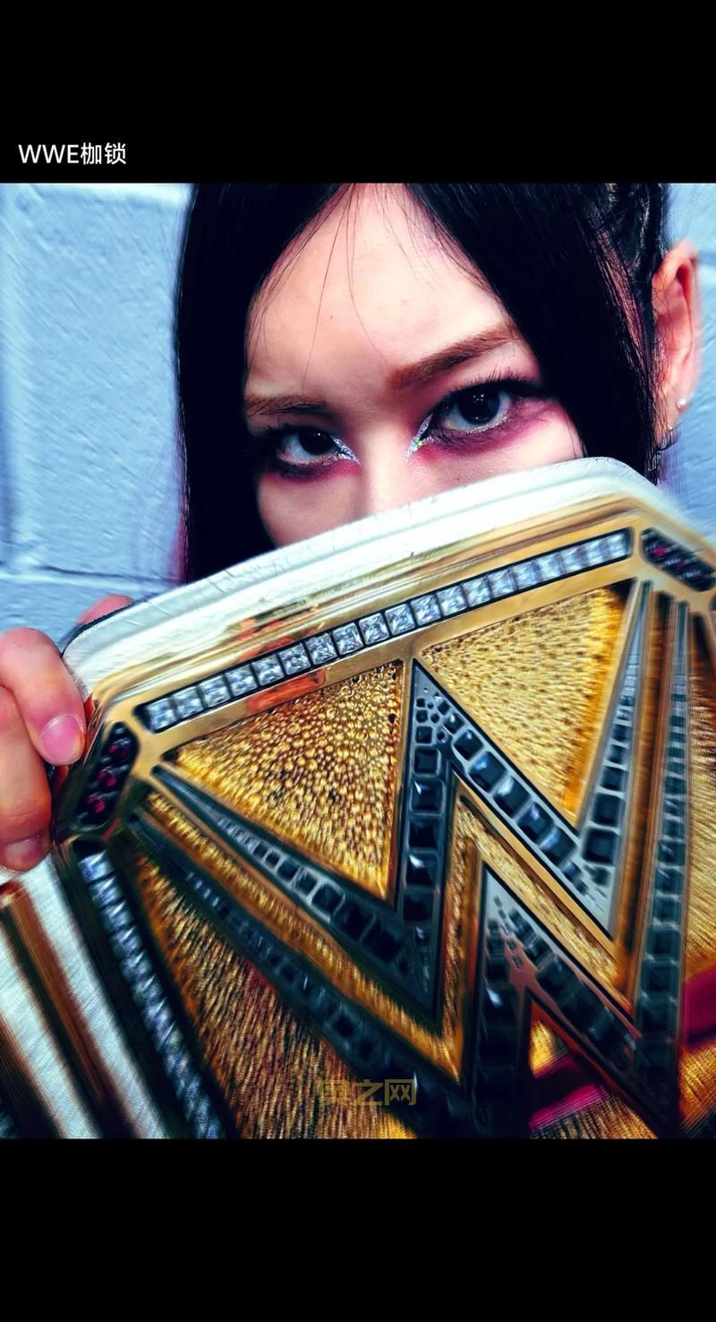 想入坑wwe职业摔角赛怎么开始？新手看懂规则快速入门！