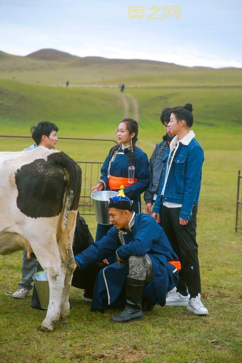 湖南卫视呼啦怎么玩?新手快速上手全攻略!