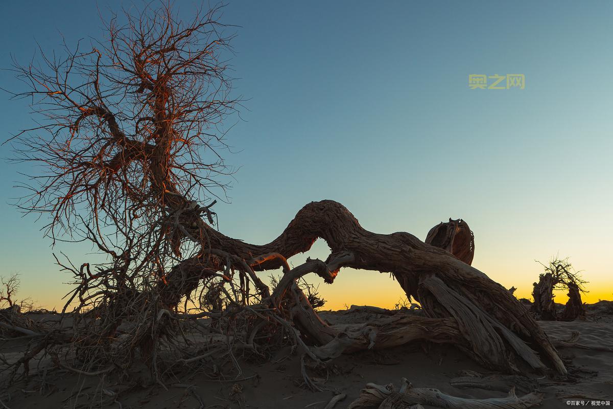 斗战神大鹏梦境最新攻略：助你成为梦境探险家！