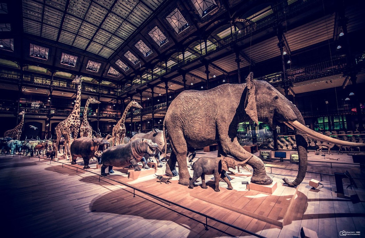 新闻脱口秀广播节目_北京新闻广播节目表_大城小事节目介绍