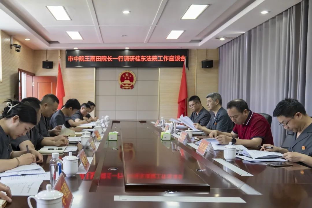 王雨田到桂东法院宣讲调研
