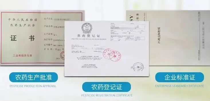 灭白蚁_世界害虫日 蚊虫孳生预防 驱蚊灭蚊方法