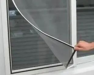 世界害虫日 蚊虫孳生预防 驱蚊灭蚊方法_灭白蚁