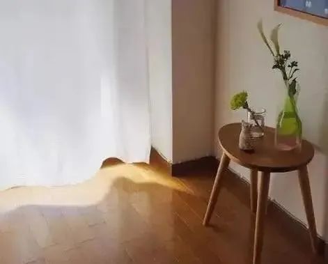 灭白蚁_世界害虫日 蚊虫孳生预防 驱蚊灭蚊方法