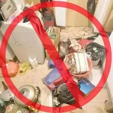 灭白蚁_世界害虫日 蚊虫孳生预防 驱蚊灭蚊方法