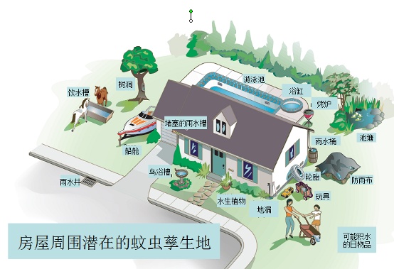 世界害虫日 蚊虫孳生预防 驱蚊灭蚊方法_灭白蚁