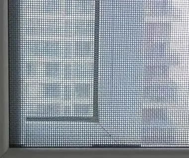 灭白蚁_世界害虫日 蚊虫孳生预防 驱蚊灭蚊方法