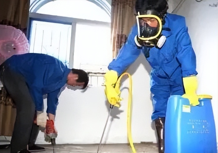 灭白蚁_预防白蚁侵袭的方法和措施_白蚁是什么有什么危害如何预防