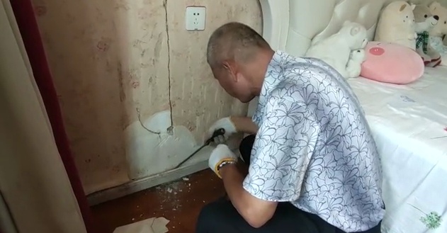 灭白蚁_嘉定区白蚁防治公司_上海嘉定区白蚁防治