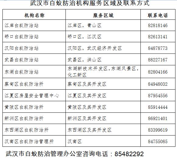 武汉白蚁防治_灭白蚁_武汉白蚁分飞高发期