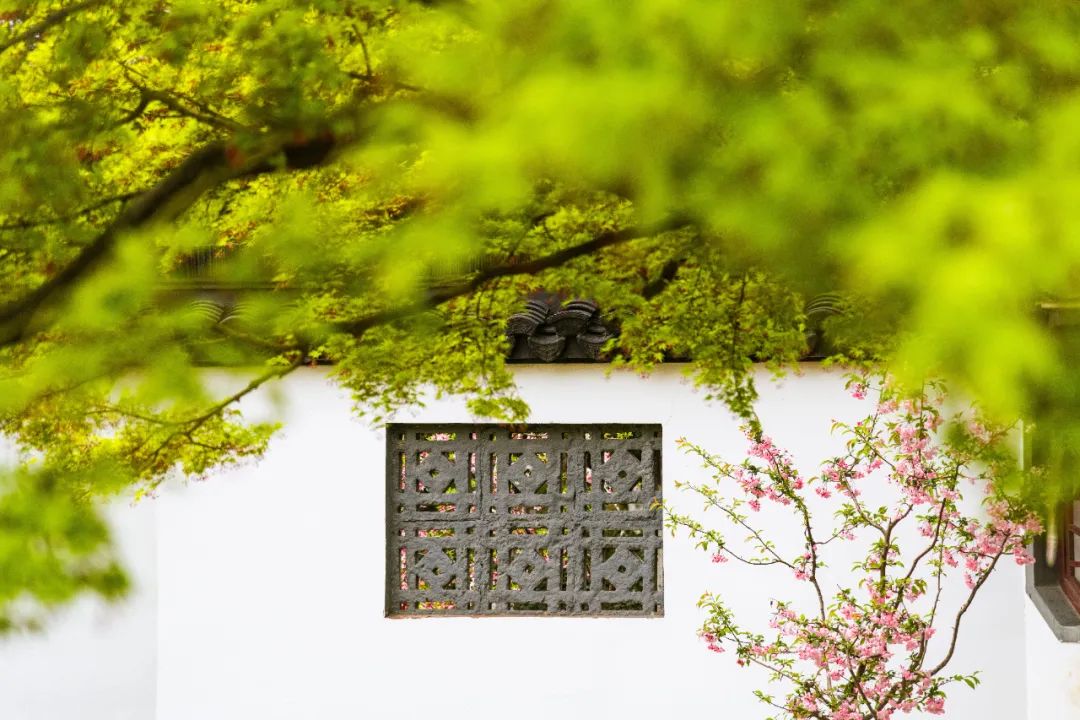 衡水桃城区新闻_衡水旅游十大景点_衡水湖景区旅游攻略