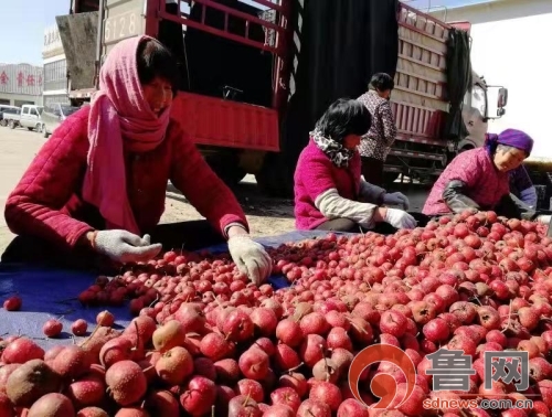 潍坊市临朐县五井镇脱贫攻坚_五井镇特色产业扶贫_临朐县西坦村新闻