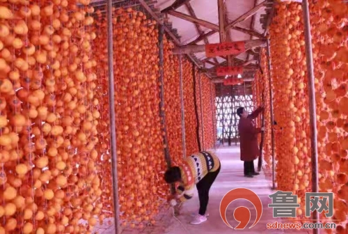 五井镇特色产业扶贫_临朐县西坦村新闻_潍坊市临朐县五井镇脱贫攻坚