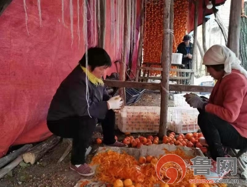 临朐县西坦村新闻_五井镇特色产业扶贫_潍坊市临朐县五井镇脱贫攻坚