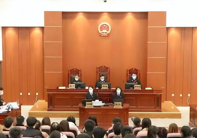 彭宇案 王浩 法官判决_法官王浩 语录