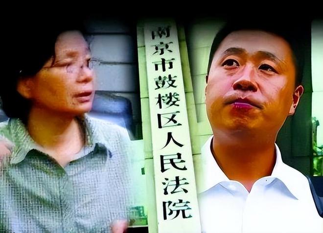 彭宇案 王浩 法官判决_法官王浩 语录