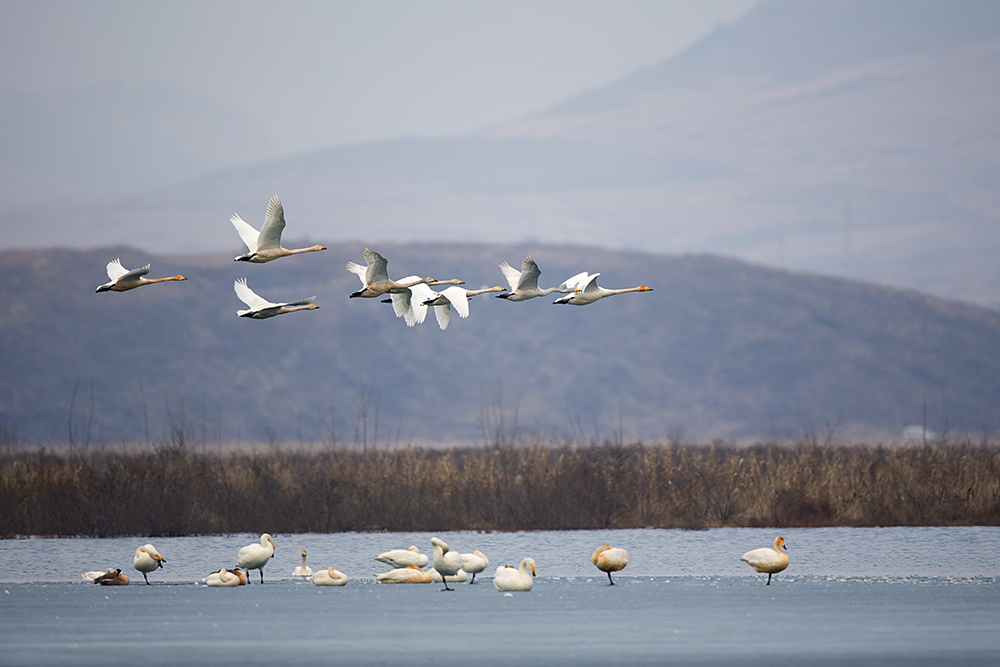 锦州历史文化名城_锦州新闻6月21日_锦州旅游攻略