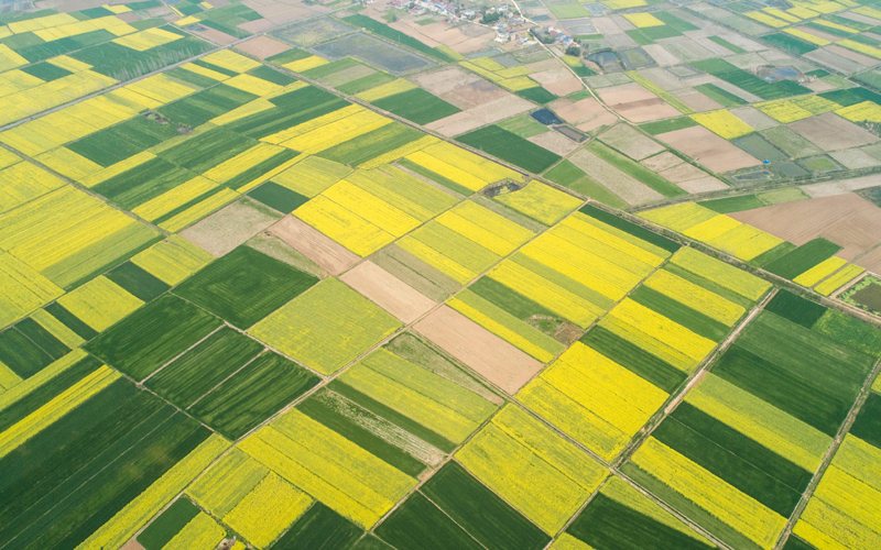 湖北当阳新闻_湖北复工复产安全有序_湖北疫情后经济发展措施