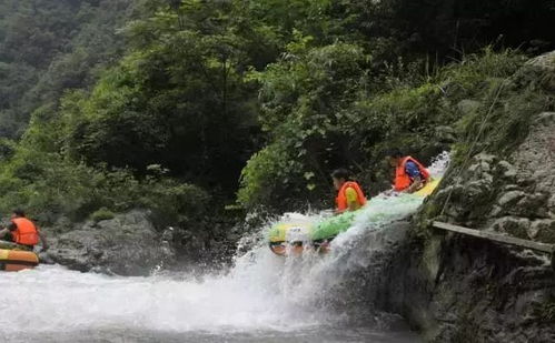 重庆黑山谷漂流攻略：如何安全畅游自然奇观？