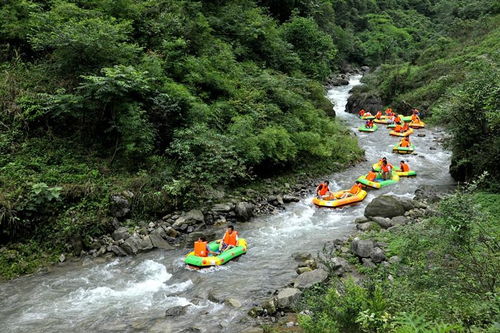 重庆黑山谷漂流攻略：如何安全畅游自然奇观？