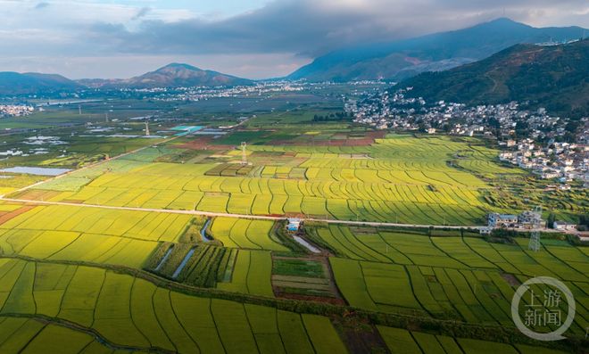 醉美东川红土地摄影_新闻摄影作品_金秋摄影展