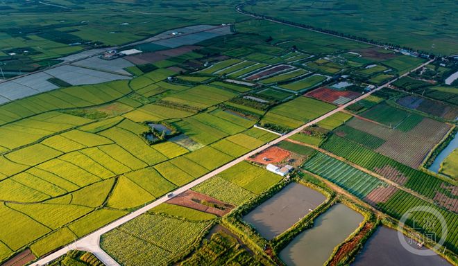 新闻摄影作品_醉美东川红土地摄影_金秋摄影展