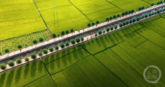 金秋摄影展_醉美东川红土地摄影_新闻摄影作品