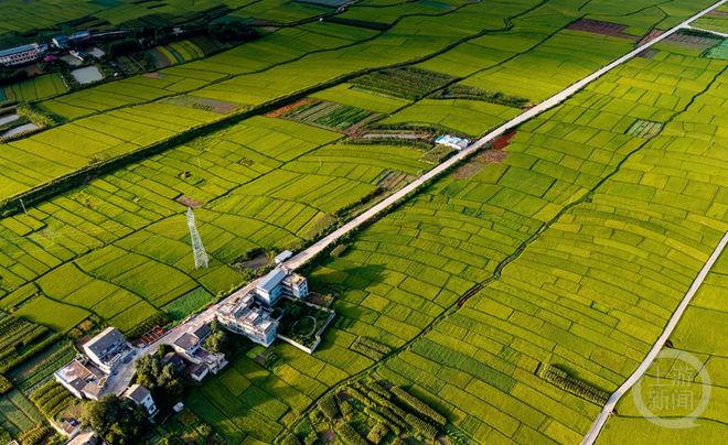 新闻摄影作品_金秋摄影展_醉美东川红土地摄影