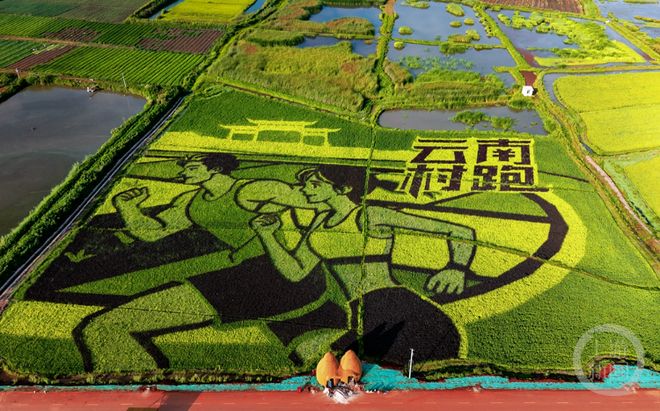 金秋摄影展_醉美东川红土地摄影_新闻摄影作品