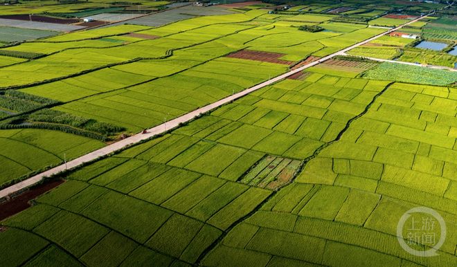醉美东川红土地摄影_金秋摄影展_新闻摄影作品