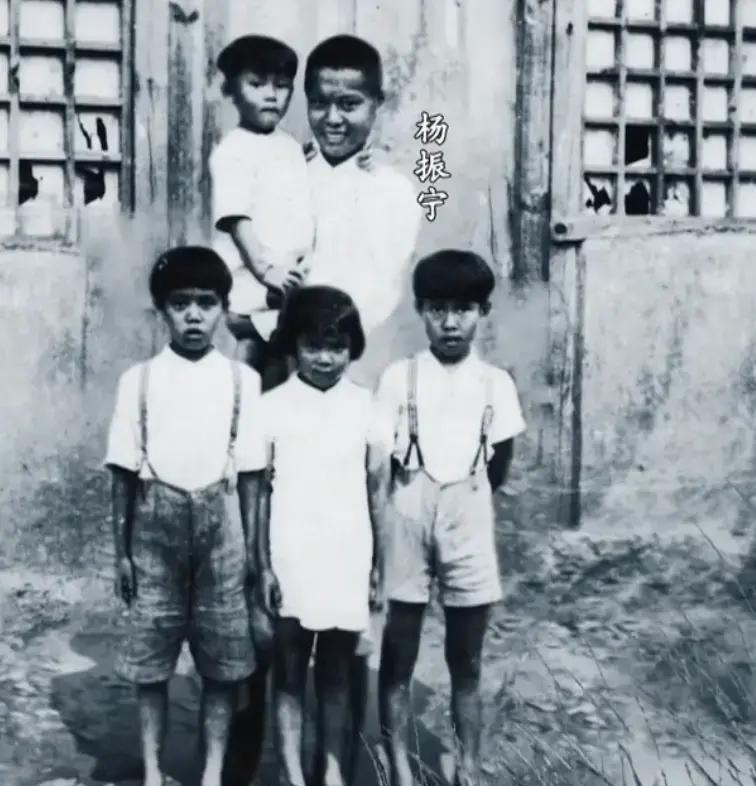 杨振宁与杜致礼的爱情故事_杨振宁和孩子的关系_杨振宁一家三口在美国生活