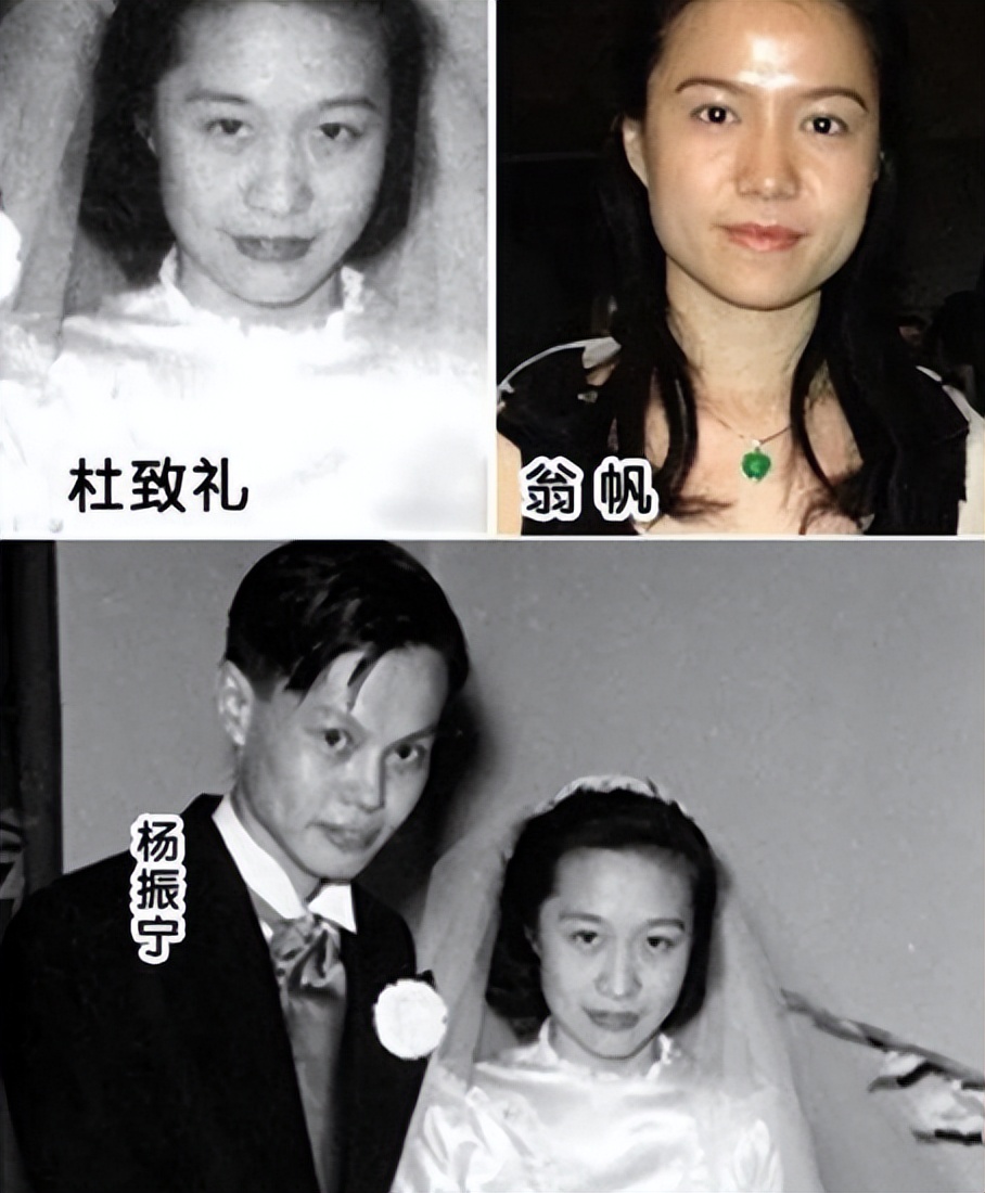 杨振宁翁帆财产分配_杨振宁翁帆婚姻真相_杨振宁和孩子的关系