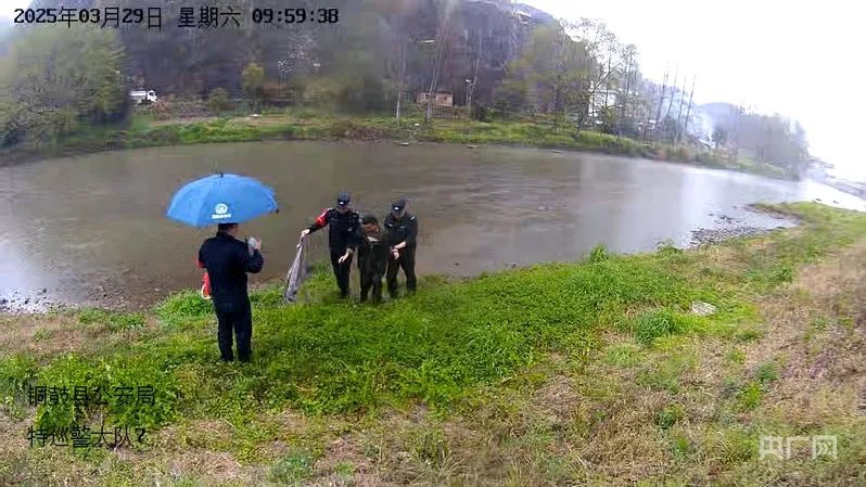 宜春铜鼓县民警落水救援_铜鼓县公安局城镇派出所救援事件_江西省铜鼓县新闻