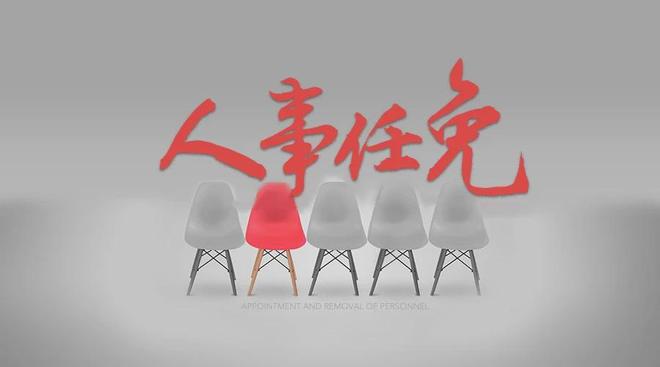 官方：青岛市干部任免一览（7月）