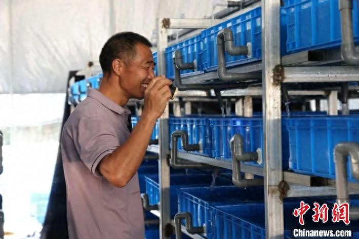 （乡村行·看振兴）江西铜鼓：清水石斑鱼“游出”生态养殖致富路