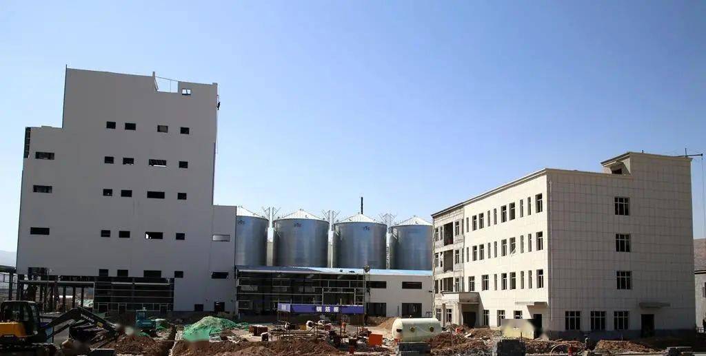 武山县唐人神42万吨高科技生物饲料产销研一体化基地建设进入冲刺阶段