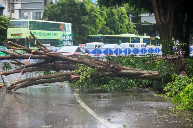 超强台风威马逊 登陆中国最强台风 威马逊台风路径_海南电视台综合频道威马逊台风打击谣言新闻
