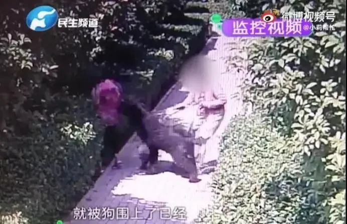 安阳市城市管理局责任单位处理情况_新闻:狗咬人_河南安阳狗咬人事件处理决定