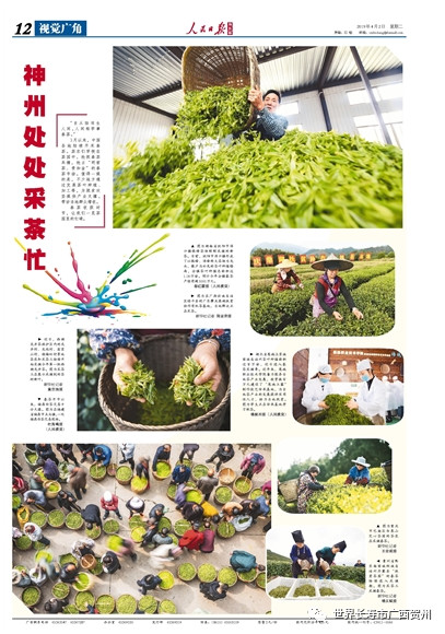 人民日报海外版报道贺州_贺州4月新闻_贺州新闻网 新闻