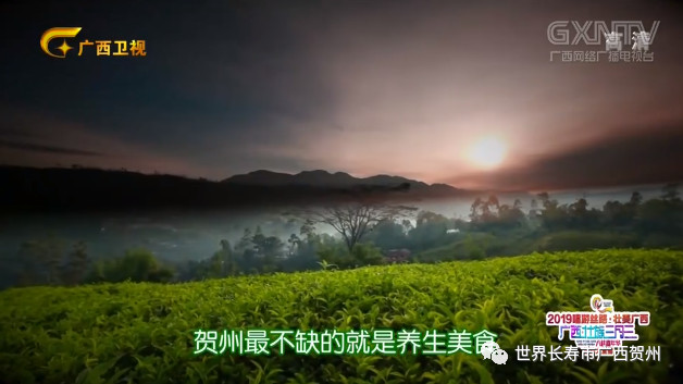 贺州4月新闻_贺州新闻网 新闻_人民日报海外版报道贺州