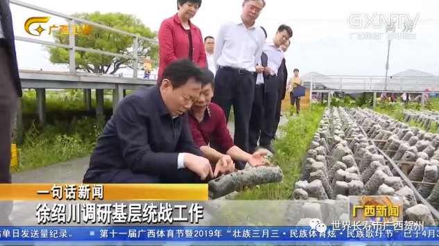 贺州4月新闻_贺州新闻网 新闻_人民日报海外版报道贺州